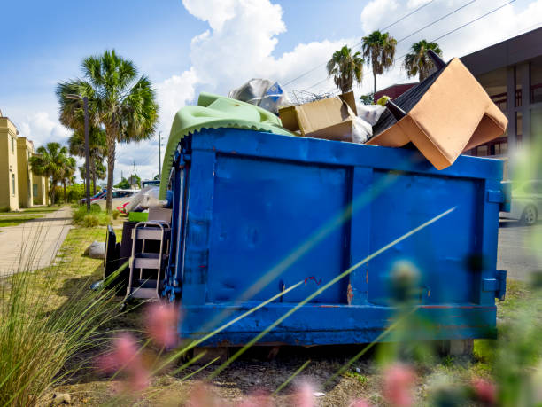 Best Office Junk Removal  in Grayvle, IL