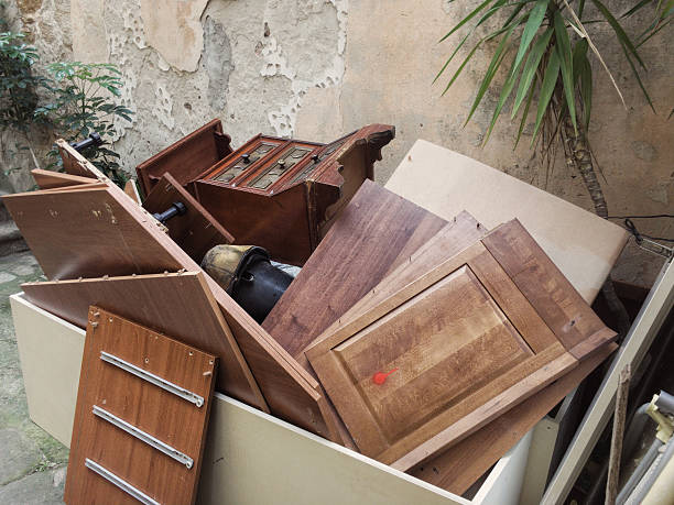 Best Junk Hauling Services  in Grayvle, IL